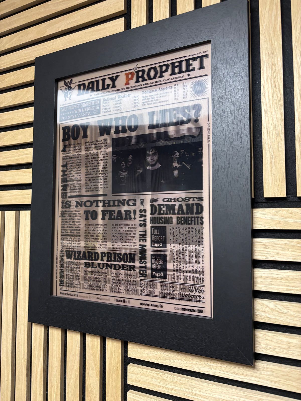 Harry Potter Undesirables 3D Lenticular Poster Framed 30x40cm