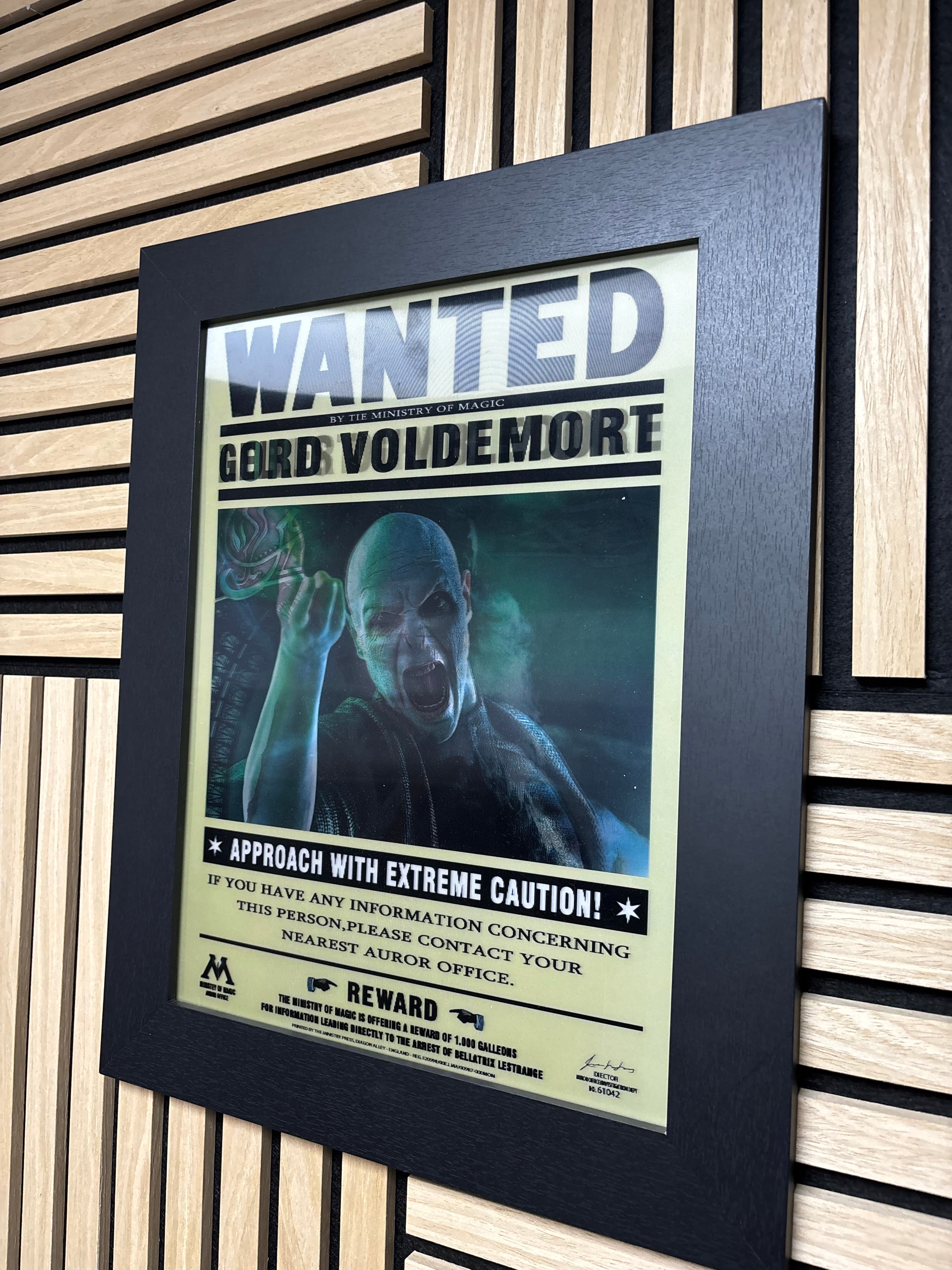Wanted Harry Potter 3D Lenticular Poster Framed 30x40cm