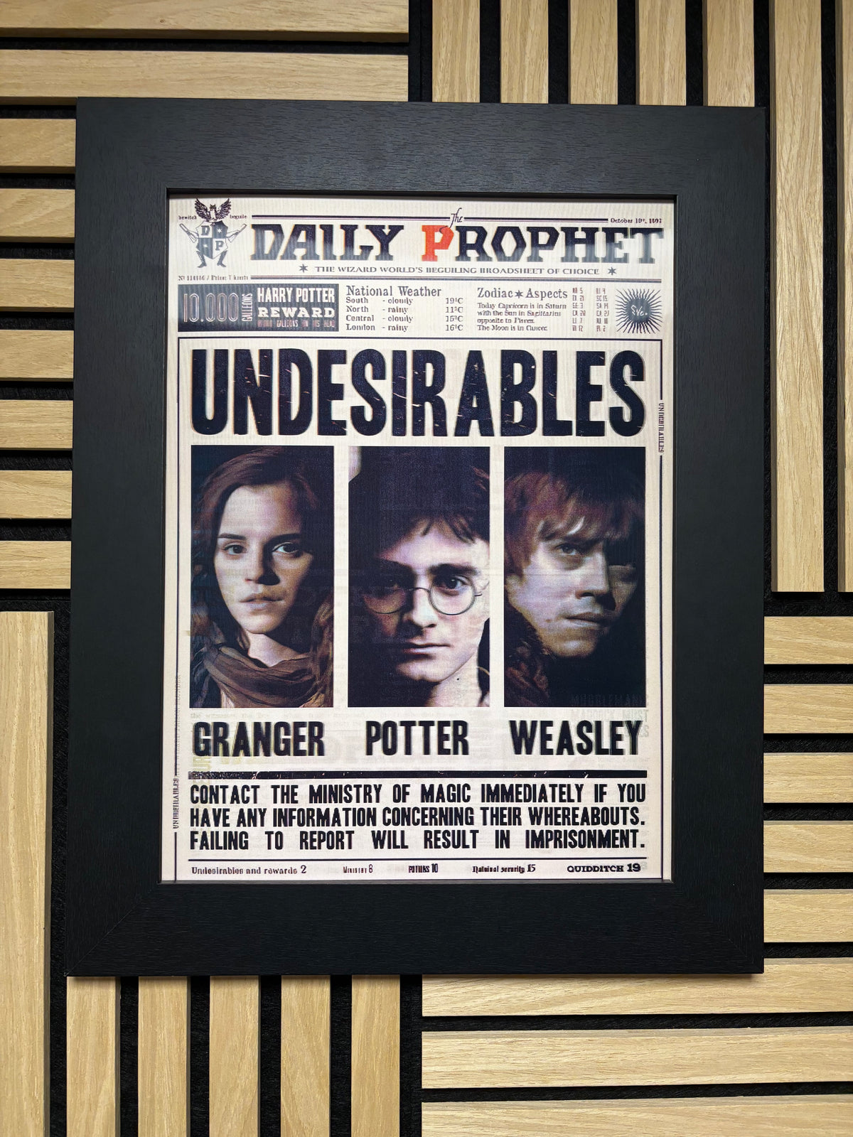 Harry Potter Undesirables 3D Lenticular Poster Framed 30x40cm