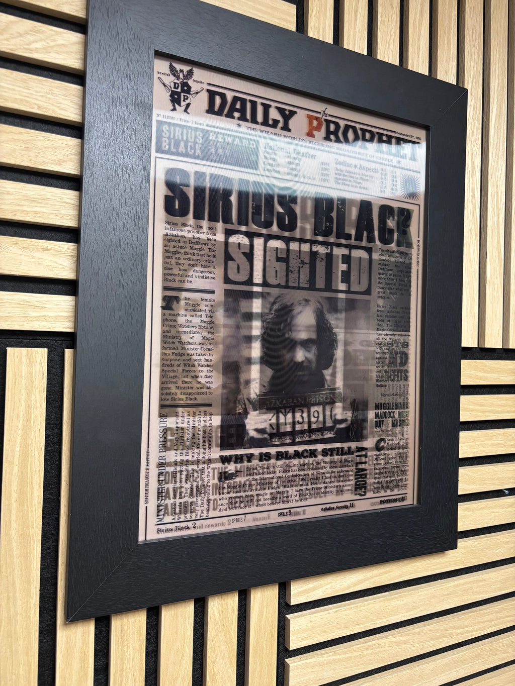 Harry Potter Undesirables 3D Lenticular Poster Framed 30x40cm