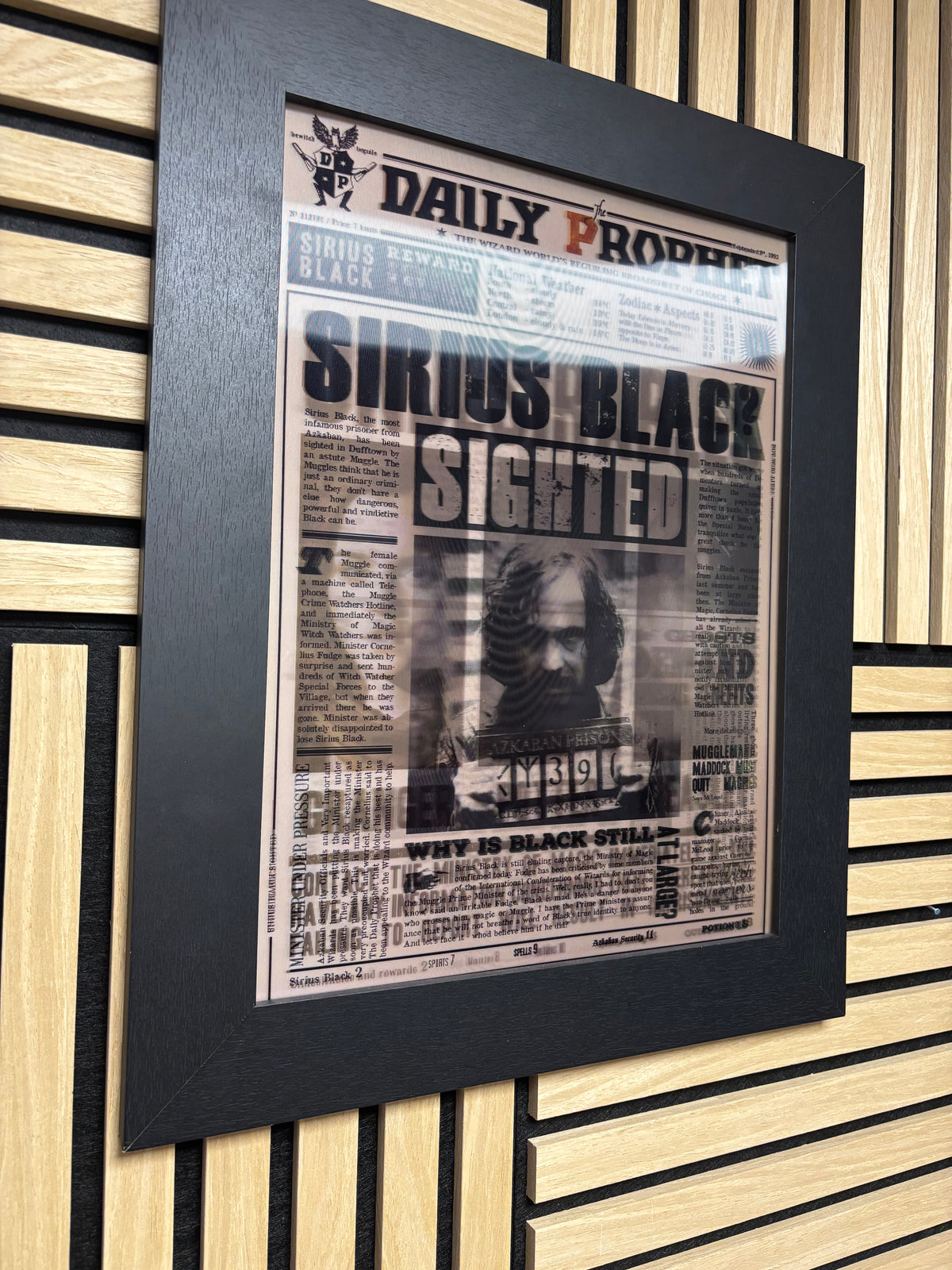 Harry Potter Undesirables 3D Lenticular Poster Framed 30x40cm