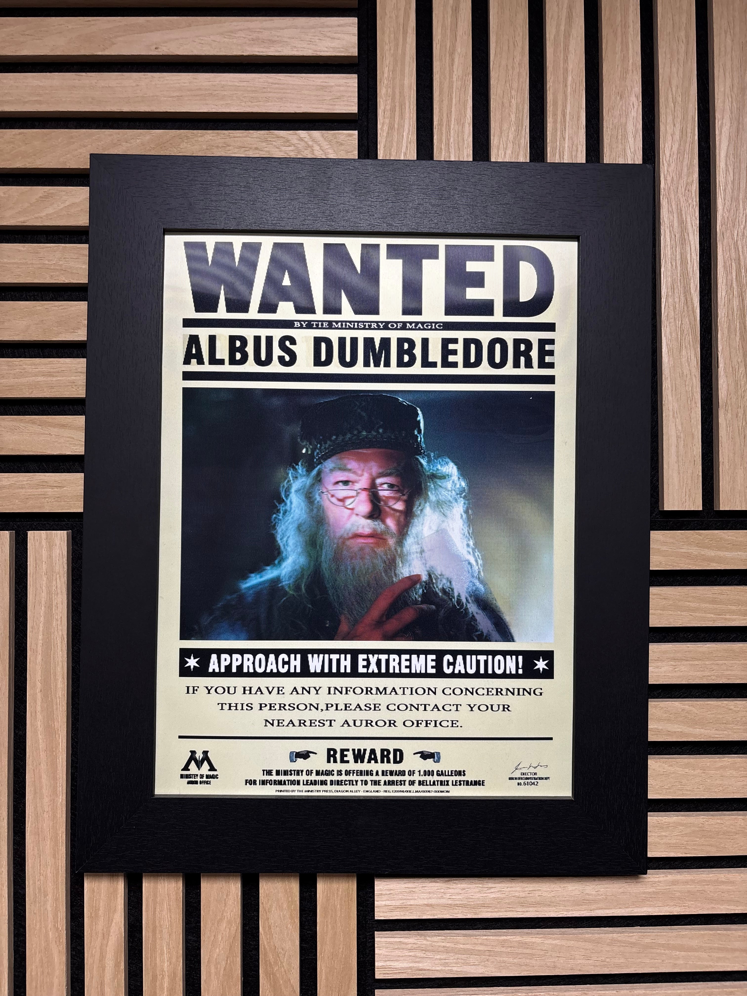 Wanted Harry Potter 3D Lenticular Poster Framed 30x40cm