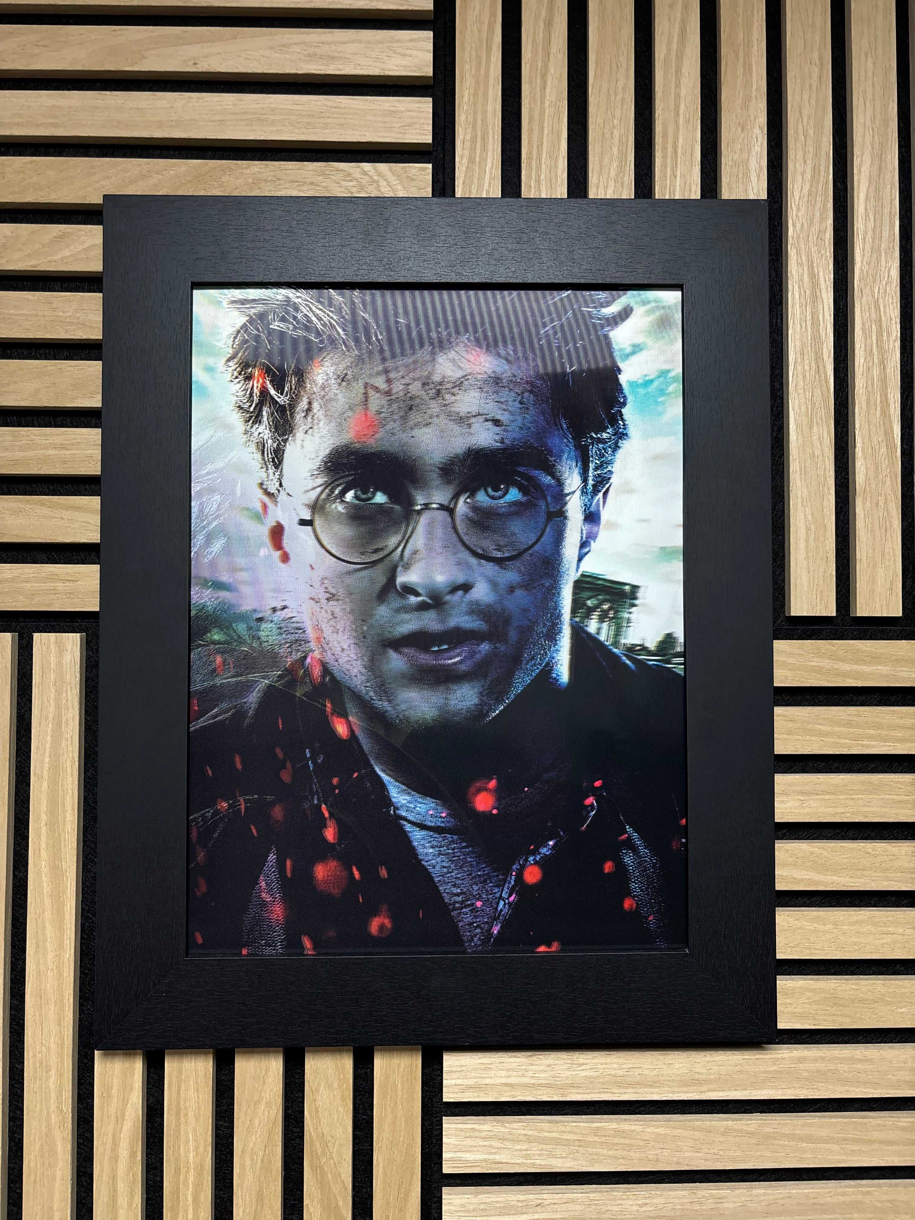 Harry Potter 3D Lenticular Poster Framed 30x40cm