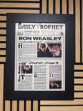 Harry Potter Newspaper 3D Lenticular Poster 30x40cm
