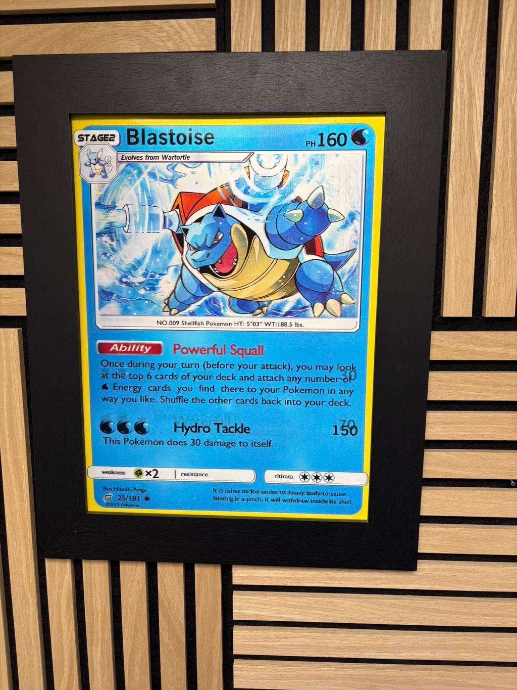 Blastoise Wartortle Squirtle 3D Lenticular Poster Framed 30x40cm