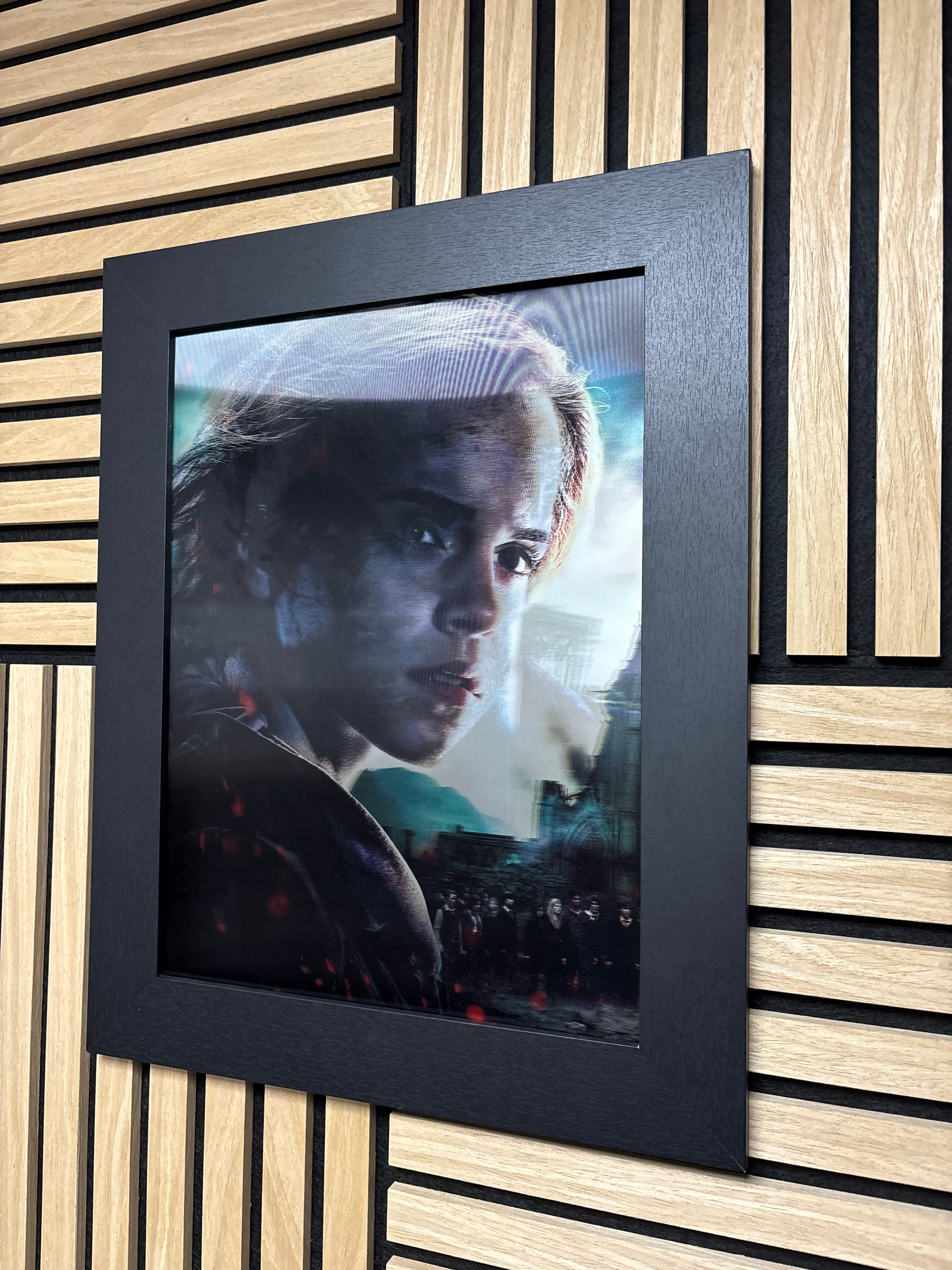Harry Potter 3D Lenticular Poster Framed 30x40cm