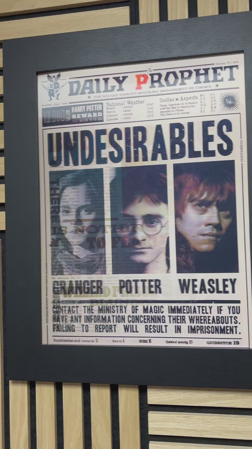 Harry Potter Undesirables 3D Lenticular Poster Framed 30x40cm