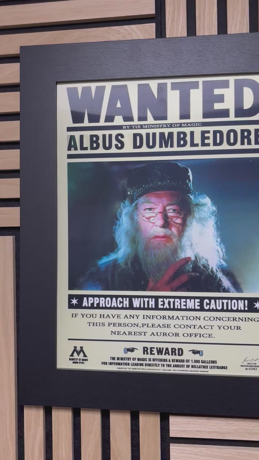Wanted Harry Potter 3D Lenticular Poster Framed 30x40cm
