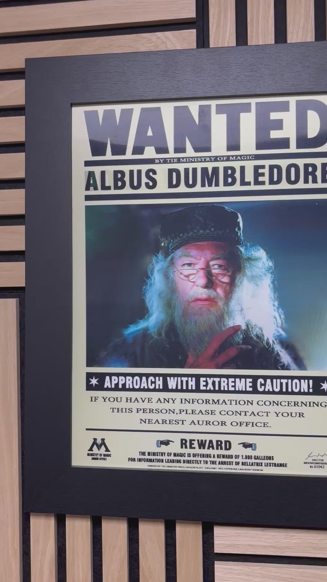 Wanted Harry Potter 3D Lenticular Poster Framed 30x40cm